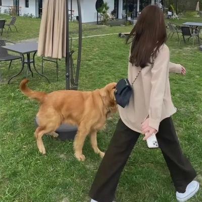 盲点第四季